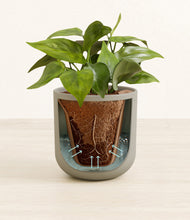 Load image into Gallery viewer, Sage Green stand:all