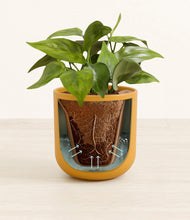 Load image into Gallery viewer, Sunset Orange stand:all