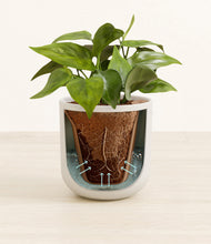 Load image into Gallery viewer, Natural Bamboo stand:all