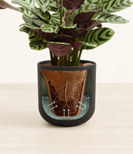 Load image into Gallery viewer, Stone Black stand:all