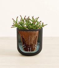 Load image into Gallery viewer, Stone Black