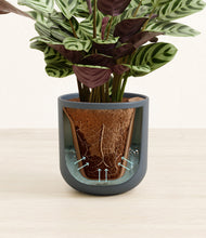 Load image into Gallery viewer, Iron Gray stand:all