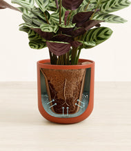 Load image into Gallery viewer, Earth Red stand:all