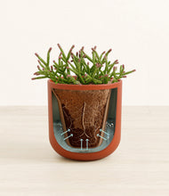 Load image into Gallery viewer, Earth Red