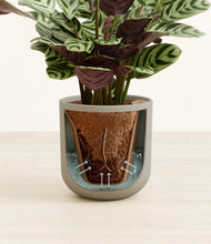 Load image into Gallery viewer, Sage Green stand:all