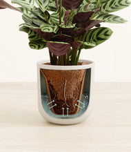 Load image into Gallery viewer, Natural Bamboo stand:all