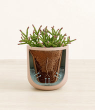 Load image into Gallery viewer, Sandy Pink