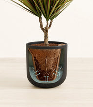 Load image into Gallery viewer, Stone Black