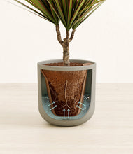 Load image into Gallery viewer, Sage Green