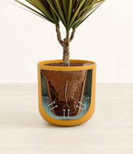 Load image into Gallery viewer, Sunset Orange