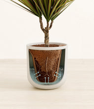 Load image into Gallery viewer, Natural Bamboo