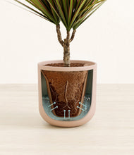 Load image into Gallery viewer, Sandy Pink