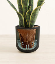 Load image into Gallery viewer, Stone Black