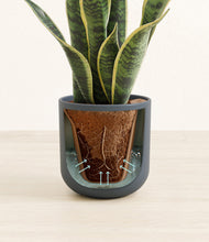 Load image into Gallery viewer, Iron Gray