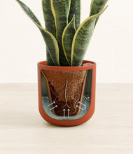 Load image into Gallery viewer, Earth Red