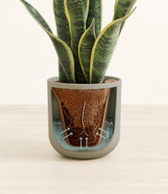 Load image into Gallery viewer, Sage Green