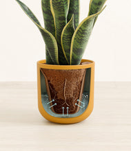 Load image into Gallery viewer, Sunset Orange