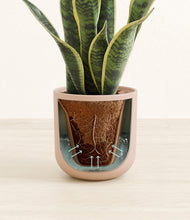 Load image into Gallery viewer, Sandy Pink