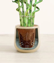 Load image into Gallery viewer, Almond Green stand:all