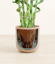 Load image into Gallery viewer, Sandy Pink stand:all