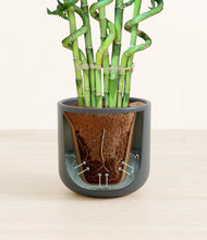 Load image into Gallery viewer, Iron Gray stand:all