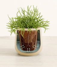 Load image into Gallery viewer, Almond Green stand:all