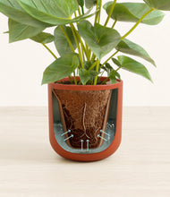 Load image into Gallery viewer, Earth Red