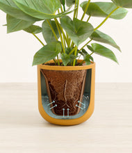 Load image into Gallery viewer, Sunset Orange