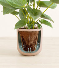 Load image into Gallery viewer, Sandy Pink