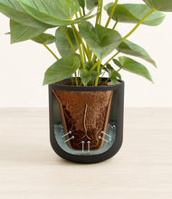 Load image into Gallery viewer, Stone Black