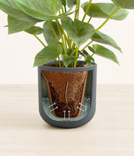 Load image into Gallery viewer, Iron Gray