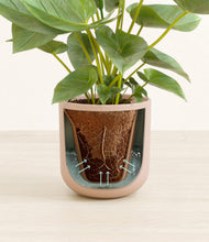 Load image into Gallery viewer, Sandy Pink