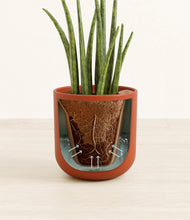 Load image into Gallery viewer, Earth Red