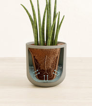 Load image into Gallery viewer, Sage Green