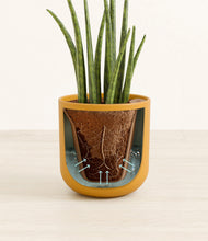 Load image into Gallery viewer, Sunset Orange