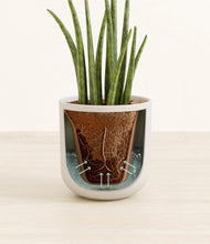 Load image into Gallery viewer, Natural Bamboo