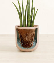 Load image into Gallery viewer, Sandy Pink