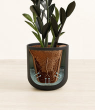 Load image into Gallery viewer, Stone Black