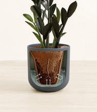 Load image into Gallery viewer, Iron Gray