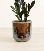 Load image into Gallery viewer, Sage Green