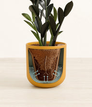 Load image into Gallery viewer, Sunset Orange