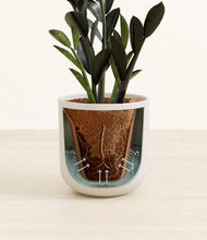 Load image into Gallery viewer, Natural Bamboo