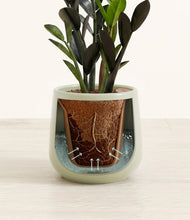Load image into Gallery viewer, Turquoise stand:all