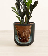 Load image into Gallery viewer, Stone Black stand:all