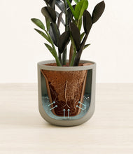 Load image into Gallery viewer, Sage Green stand:all