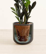 Load image into Gallery viewer, Stone Black stand:all