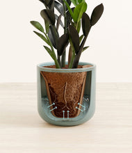 Load image into Gallery viewer, Reactive Aqua stand:all