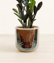 Load image into Gallery viewer, Sage Green stand:all