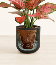 Load image into Gallery viewer, Stone Black