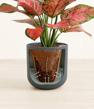 Load image into Gallery viewer, Iron Gray